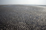 Kniepsand auf Amrum.