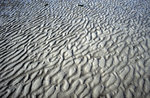 Spuren im Wattenmeer westlich von der Insel Amrum.