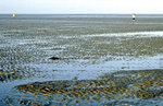 Das Wattenmeer westlich von der Insel Pellworm.