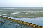 Ebbe westlich von der Insel Pellworm. Bild vom Dia. Aufnahme: Januar 2000.