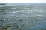 Nationalpark Schleswig-Holsteinisches Wattenmeer nördlich von der Insel Pellworm.