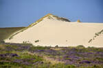 Die Lister Wanderdünen auf der Nordseeinsel Sylt bringen es auf eine stattliche Höhe von 30 Metern. Das Lister Ortsbild wird durch die Sandberge stark geprägt. In einem Jahr wandern die Dünen bis zu zehn Meter. Aufnahme: 7. September 2021.