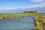 Priel auf der Hallig Hooge in Nordfriesland. Aufnahme: 4. Oktober 2021.