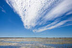 Ebbe im Wattenmeer vor der Hallig Oland in Nordfriesland. Aufnahme: 1. Juli 2025.