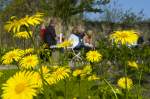 Im Garten Emil Noldes (Nolde Stiftung Seebüll, Nordfriesland).