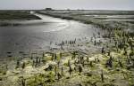 Siel an der Ostküste der Hallig Nordstrandischmoor.