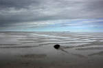 Das Wattenmeer während Ebbe zwischen Dagebüjl und der Hallig Land aufgenommen.