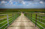 Auf dem Deich der Hallig Land im nordfriesischen Wattenmeer. Die Halligen erheben sich nur wenige Meter über dem Meeresspiegel, weshalb sie während einer starken Flut mit Ausnahme der Warften, künstlich aufgeschütteten Hügeln, auf denen die Häuser stehen, überspült werden (»Landunter«).

Aufnahme: 25. Juni 2017.