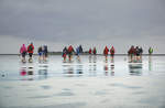 Wattwanderung im nordfriesischen Wattenmeer.