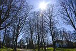 Im Tönninger Schlosspark af der Halbinsel Eiderstedt.