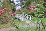 Tating auf der Halbinsel Eiderstedt - Blumen im Hochdorfer Garten. Aufnahme: 20. Oktober 2020.