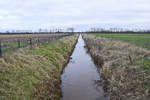 Die Alte Au bildet die Grenze zwischen Dänemark (links) und Deutschland (rechts) - hier am Neupebersmark im Kreis Nordfriesland. Aufnahme: 4. Januar 2021.