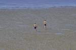 Das Wattenmeer bei Ebbe vom Deich bei Lüttmoorsiel aus gesehen. Aufnahme: Mai 2008.