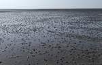 Ebbe im Wattenmeer vor Nordstrandischmoor in Nordfriesland. Aufnahme: Mai 2008.