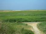 St. Peter-Ording, Blick bers Grnland zum Meer, Sommer 2003