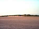 Sand und Dnen am frhen Abend, Sommer 2003 in St. peter-Ording