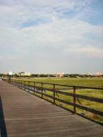 Ziemlich weit ist in St. Peter-Ording der Weg bis zum Nordseewasser, 2003