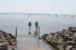 Wattenmeer Bsum, Sommer 2005