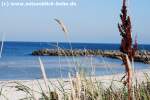 Schnberger Strand  http://www.ostseeblick-holm.de