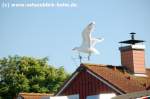 Schnberger Strand
http://www.ostseeblick-holm.de