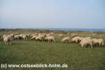 Schnberger Strand - Laboe - Wendtorf  http://www.ostseeblick-holm.de