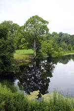 Am alten Eiderkanal bei Kluvensiek in Schleswig-Holstein.Der Kanal verband von 1784 bis 1890 die Kieler Förde bei Kiel-Holtenau mit dem natürlichen Flusslauf der Untereider bei Rendsburg.