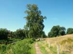 Links ist die Trave zusehen, in der Mitte eine Birke und rechts ist eine Pferdekoppel, bei Sehmsdorf.