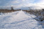 Winter im Naturschutzgebiet Kladdinger Wiesen am Airport Bremen, Dezember 2010