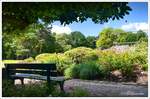 Schattiges Plätzchen am Rosarium. Rhododendronpark in Bremen Horn-Lehe. Mitte Juli 2025.