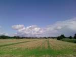 Blick auf die Ackerfelder von Stillhorn (Hamburg-Wilhemsburg),im Hinter-
grund eine mchtige  Wolkenwand .
