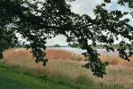 Teilung der Elbe in Norder-und Sderelbe an der Bunthausspitze in Hamburg-Moorwerder. Foto vom Mai 2011