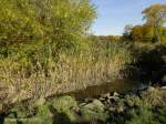 Hamburg am 19.10.2012: der Flu Flottbek im Jenischpark in Nienstedten kurz vor der Einmndung in die Elbe