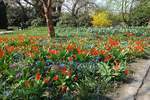 Frühlingswiese im Park „Planten un Blomen“  am 7.4.2019 /