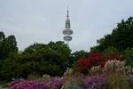 Oktober in Hamburg im Park Planten un Blomen am 11.10.2020 /