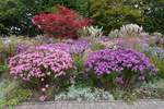 Oktober in Hamburg im Park Planten un Blomen am 11.10.2020 /