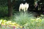 Leuchtender Oktober in Hamburg im Park Planten un Blomen am 11.10.2020 /