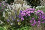 Leuchtender Oktober in Hamburg im Park Planten un Blomen am 11.10.2020 /