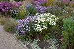 Leuchtender Oktober in Hamburg im Park Planten un Blomen am 11.10.2020 /