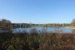 Herbstlicher Spaziergang durch den Hamburger Stadtpark am 7.11.2020 /