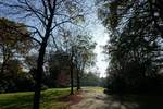 Herbstlicher Spaziergang durch den Hamburger Stadtpark am 7.11.2020 /