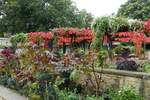 Hamburg am 11.10.2020: Herbstliches im Park Planten un Blomen /