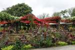 Hamburg am 11.10.2020: Herbstliches im Park Planten un Blomen /