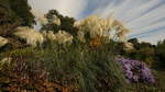 Hamburg am 10.10.2021: Impressionen im Botanischen Sondergarten Wandsbek