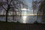 Hamburg am 11.12.2021: die Wintersonne spiegelt sich in der Außenalster  / (Landschaft)