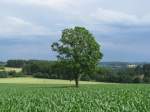 Landschaft im Grenzraum zwischen Th�ringen und Bayern, 06.07.2008