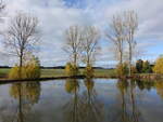 Dorfteich bei Neundorf, Saale-Orla-Kreis (19.10.2022)