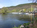 Saalewehr bei Uhlstädt, Landkreis Saalfeld-Rudolstadt (22.04.2023)