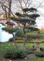 Japanischer Garten in Bad Langensalza  2005