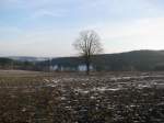 Saale-Orla-Kreis; Landschaft an der landesstrae Lobenstein nach Neundorf mit Blick zur Bayerischen Grenze [Januar 2008]