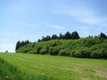 Ostthringische Landschaft bei Khler Morgen (SOK) an der Strae L 1099, Khler Morgen 05.06.2010